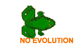 evolution.gif (33792 bytes)